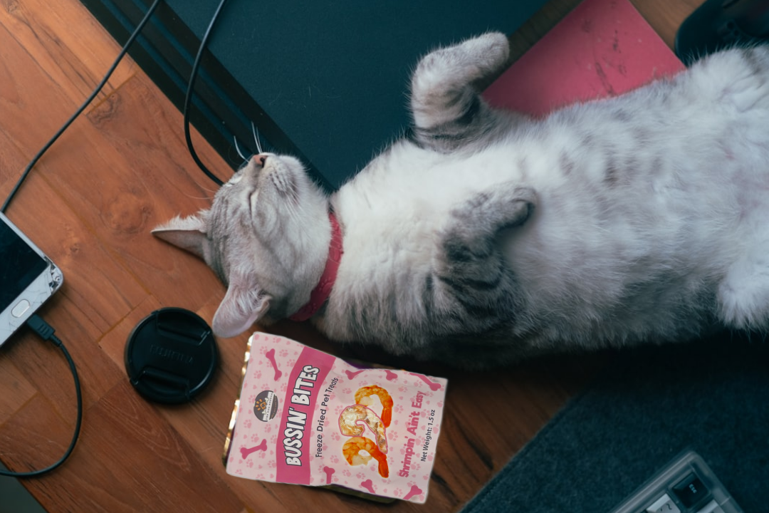 Single Ingredient, High Value Freeze-Dried Training Treats for Dogs & Cats - Shrimp-4