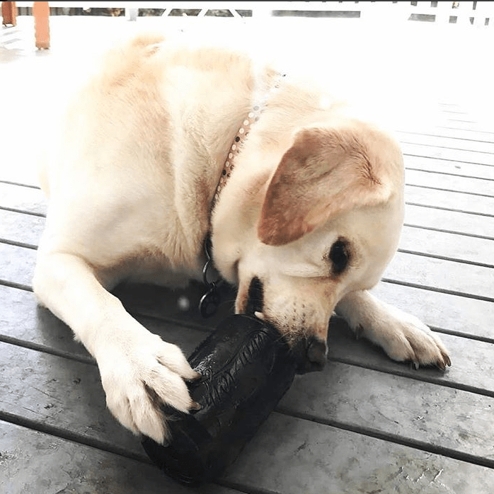 Magnum Can Toy Rubber Dog Chew Toy for Extreme Chewers | Treat Dispenser | USA Made