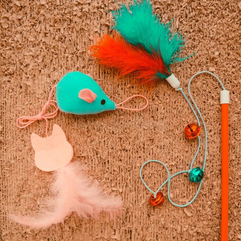 Cat Toys