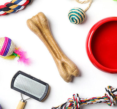 Dog Toys