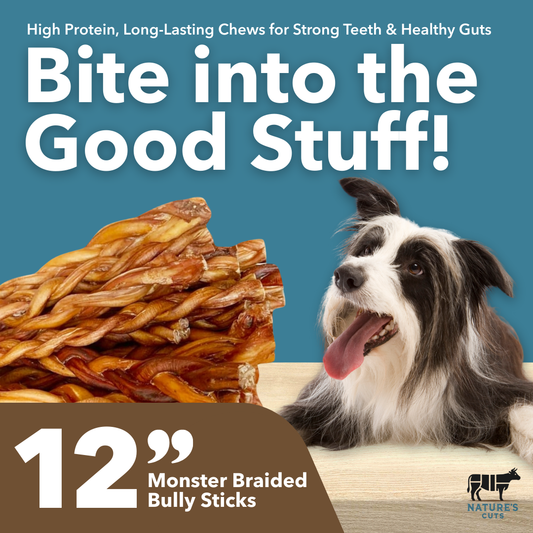 12" MONSTER Braided Bully Sticks-1