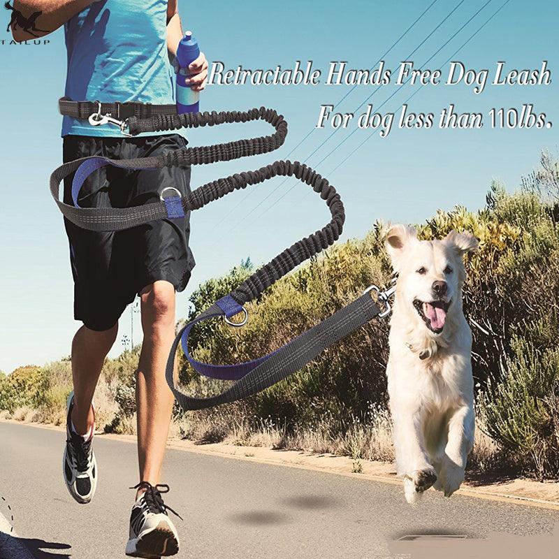 Ultimate Hands-Free Reflective Dog Leash With Multi-Function Features