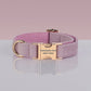 PAWSOME DOG COLLAR - #10-0