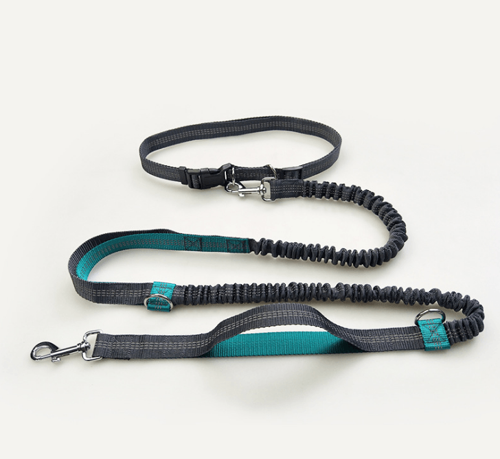 Ultimate Hands-Free Reflective Dog Leash With Multi-Function Features