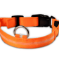 Luminous Glow-In-The-Dark Led Pet Collar: The Ultimate Night Safety Accessory For Dogs And Cats-14