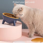 Stylish Paws Nordic Color Pet Feeding Bowl With Stand-4