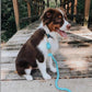 ROPE LEASH - UNICORN-3