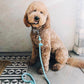 ROPE LEASH - UNICORN-1