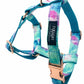 STEP IN BUNDLE - SKY (2 PIECES)-2