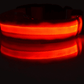 Luminous Glow-In-The-Dark Led Pet Collar: The Ultimate Night Safety Accessory For Dogs And Cats-3
