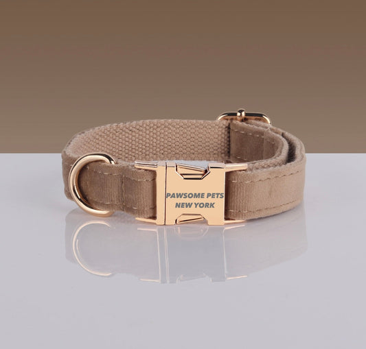PAWSOME DOG COLLAR - #8