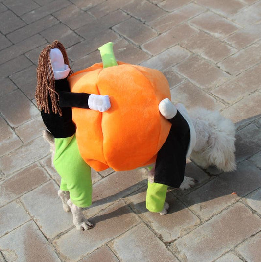 Spooky Pumpkin Pooch Costume