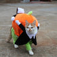 Spooky Pumpkin Pooch Costume-1