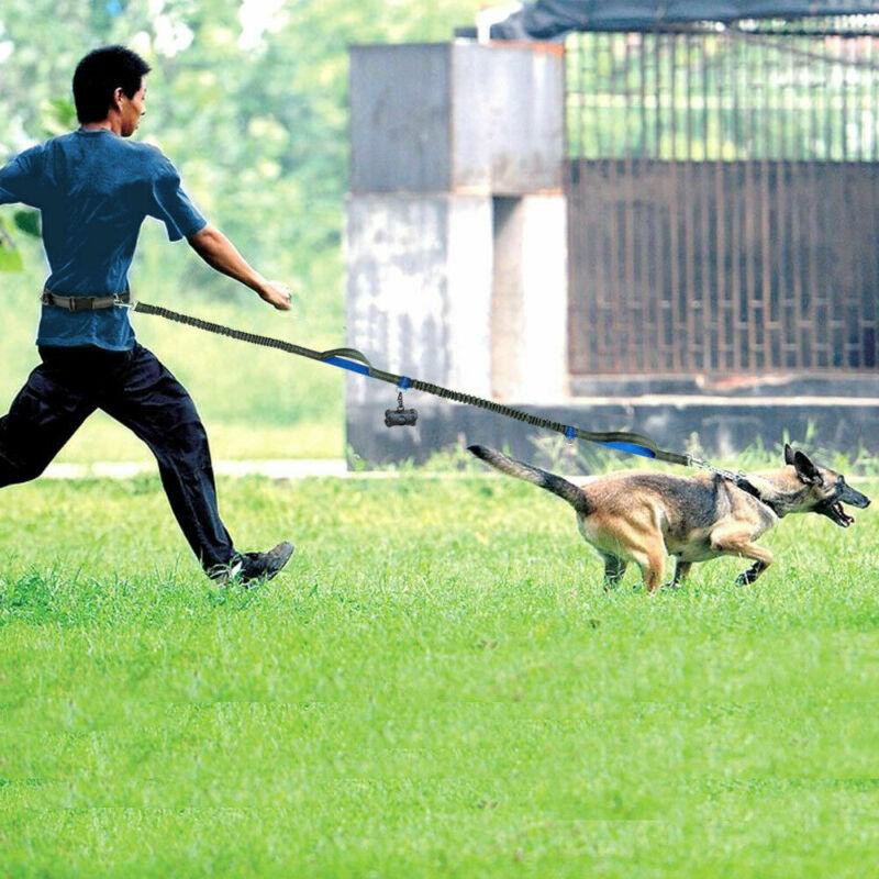 Ultimate Hands-Free Reflective Dog Leash With Multi-Function Features
