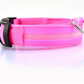 Luminous Glow-In-The-Dark Led Pet Collar: The Ultimate Night Safety Accessory For Dogs And Cats-10
