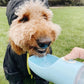 2 IN 1 PORTABLE PET FEEDER - LIGHT GREY-2