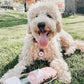 2 IN 1 PORTABLE PET FEEDER - PINK-3