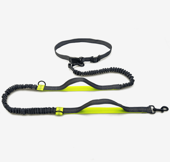 Ultimate Hands-Free Reflective Dog Leash With Multi-Function Features