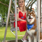 Patriotic Dog Bandana-3