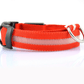 Luminous Glow-In-The-Dark Led Pet Collar: The Ultimate Night Safety Accessory For Dogs And Cats-4