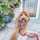 Dog Rope Leash - Watermelon Red-1