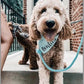 Dog Rope Leash - Mint Green-1