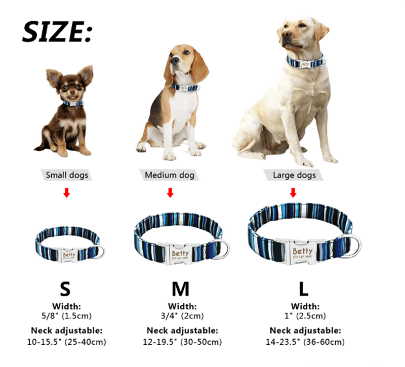Reflective Wave Point Dog Collar: High Visibility, Adjustable, And Stylish