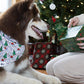 Howliday Cheer Dog Bandana-3