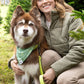 Mossy Pine Waterproof Dog Collar-3