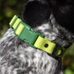 Mossy Pine Waterproof Dog Collar-4