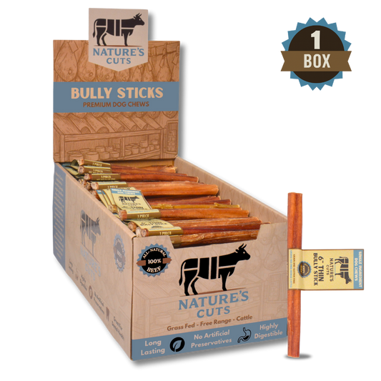 6" Thin Bully Sticks Display Box