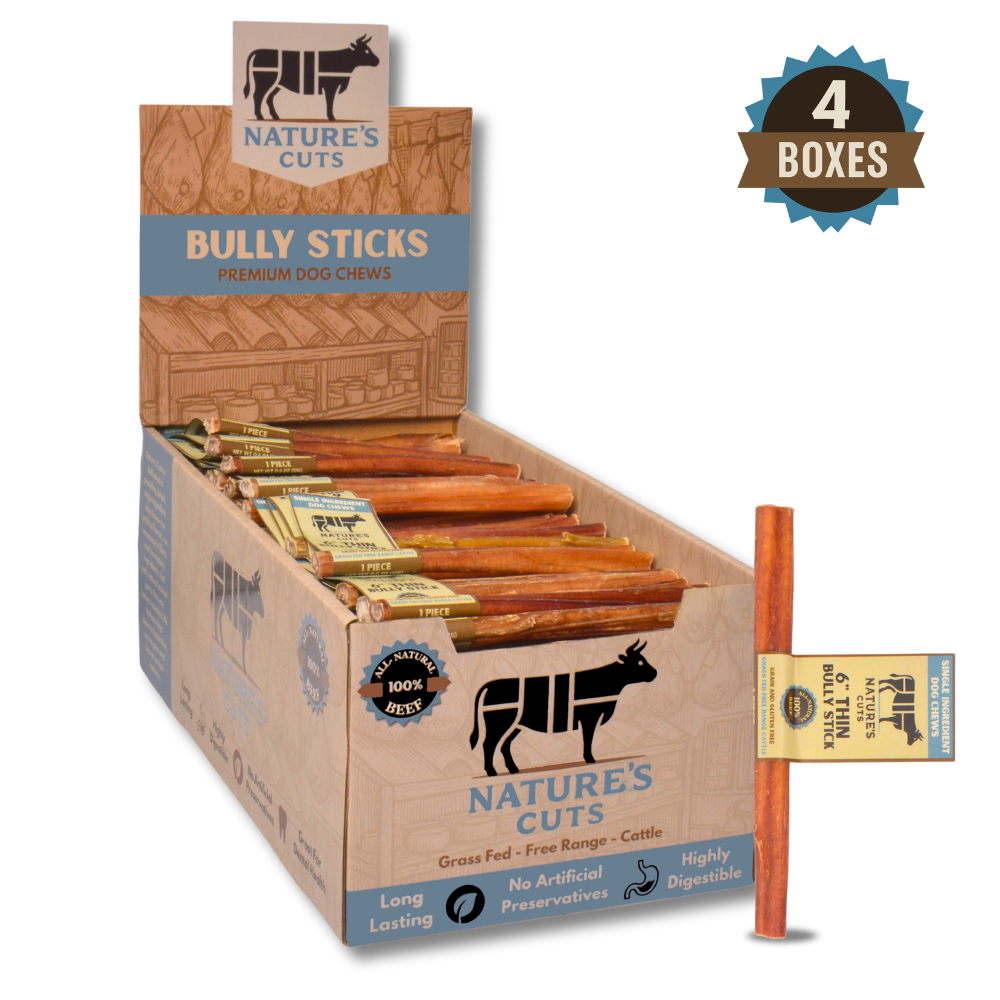 6" Thin Bully Sticks Display Box-6