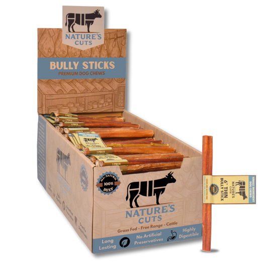 6" Thin Bully Sticks Display Box-0