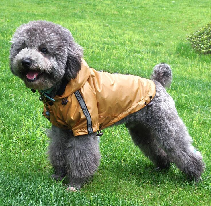 Hooded Pet Raincoat - Waterproof And Warm