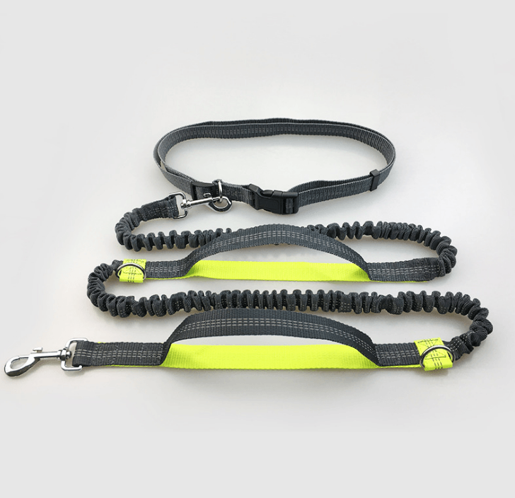 Ultimate Hands-Free Reflective Dog Leash With Multi-Function Features