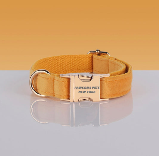 PAWSOME DOG COLLAR - #4