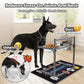 Elevated Dog Bowls for Large Dogs-4