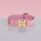 PAWSOME DOG COLLAR - #3-0