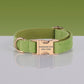 PAWSOME DOG COLLAR - #7-0