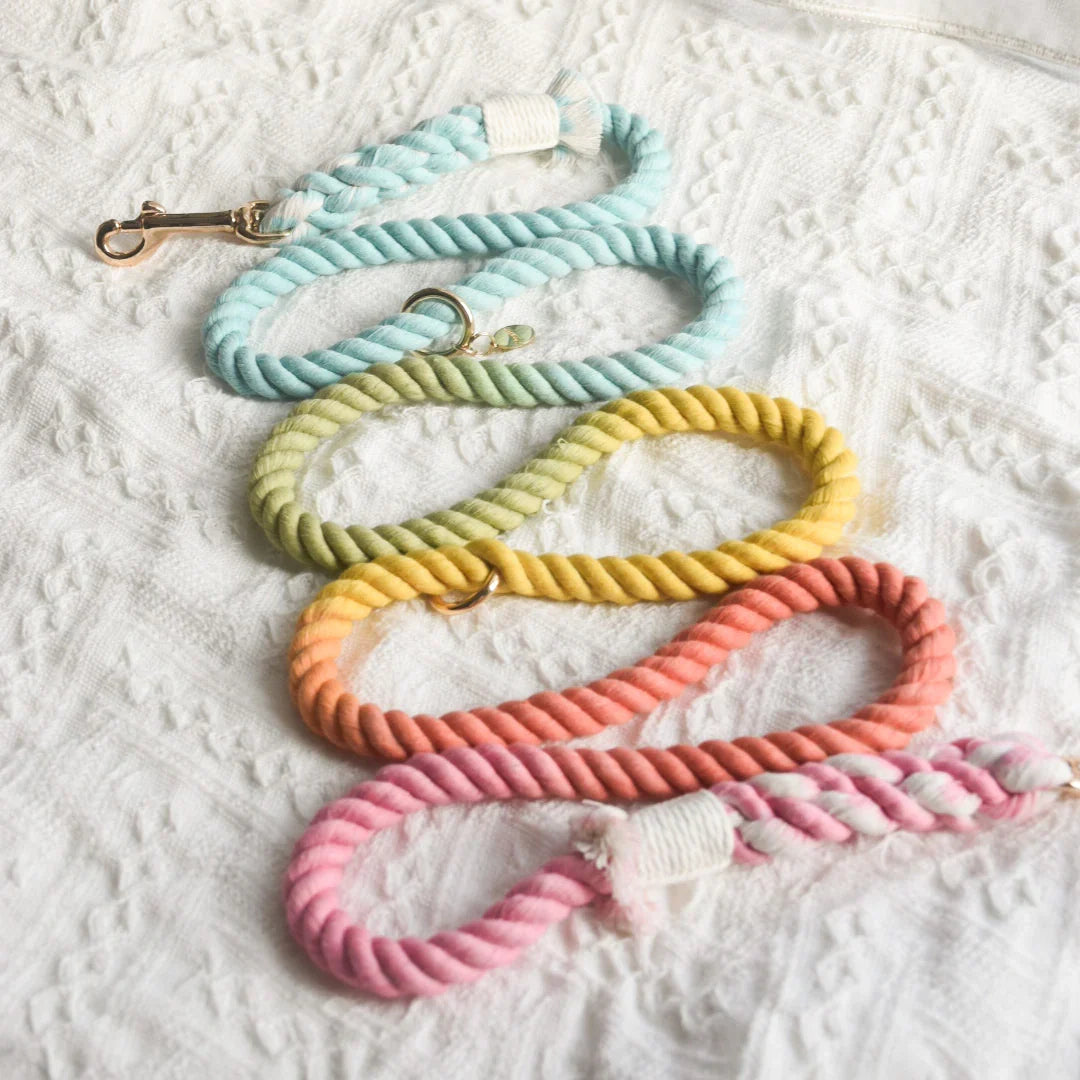 ROPE LEASH - SWEET LOLLIE