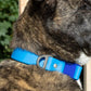 Dockside Adventures Waterproof Dog Collar-1