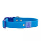 Dockside Adventures Waterproof Dog Collar-2