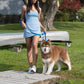 Dockside Adventures Waterproof Dog Collar-3