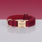 PAWSOME DOG COLLAR - #6-0