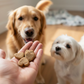 Peanut butter cookies crunchy dog treats  BeyondWhiskers-2