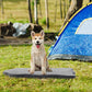 Orthopedic Dog Bed with Memory Foam Support for Large Dogs-Gray-3
