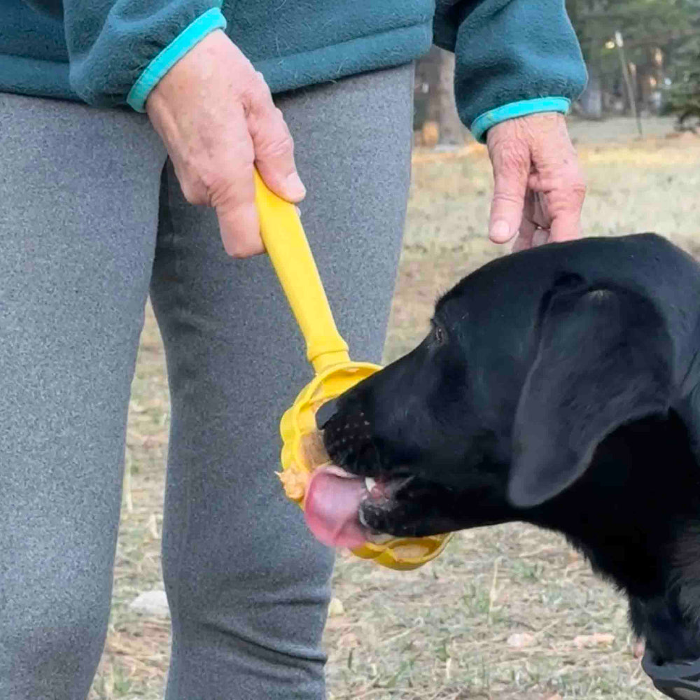 eStick Hand-Held Dog Enrichment Target Training Toy - Interactive Lick Stick | USA Made