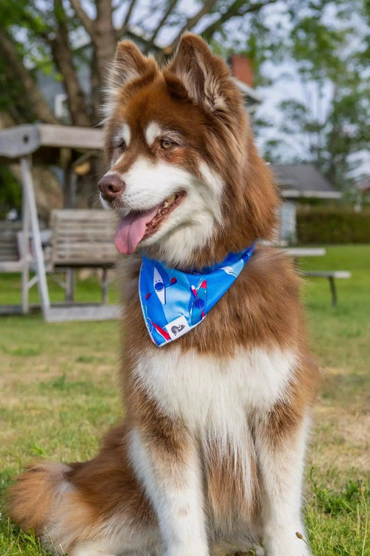K9 Kayak Dog Bandana-1