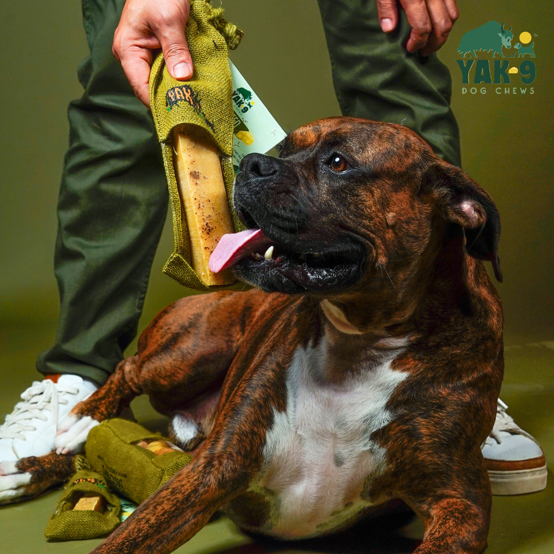 Flaxseed Yak Chews for Dogs