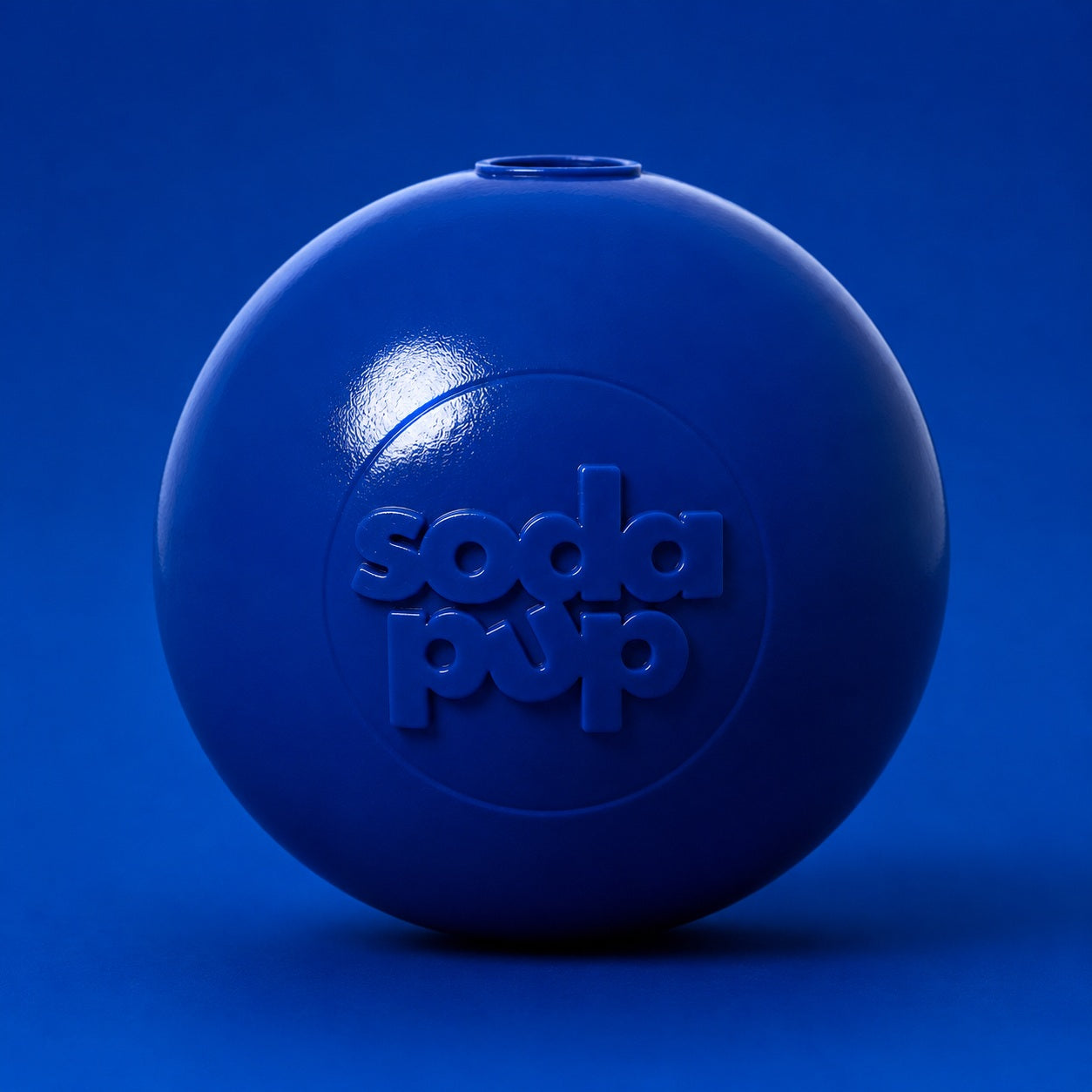Squeak Ball - Durable Squeaky Dog Toy, Floats, Chew Toy | USA Made